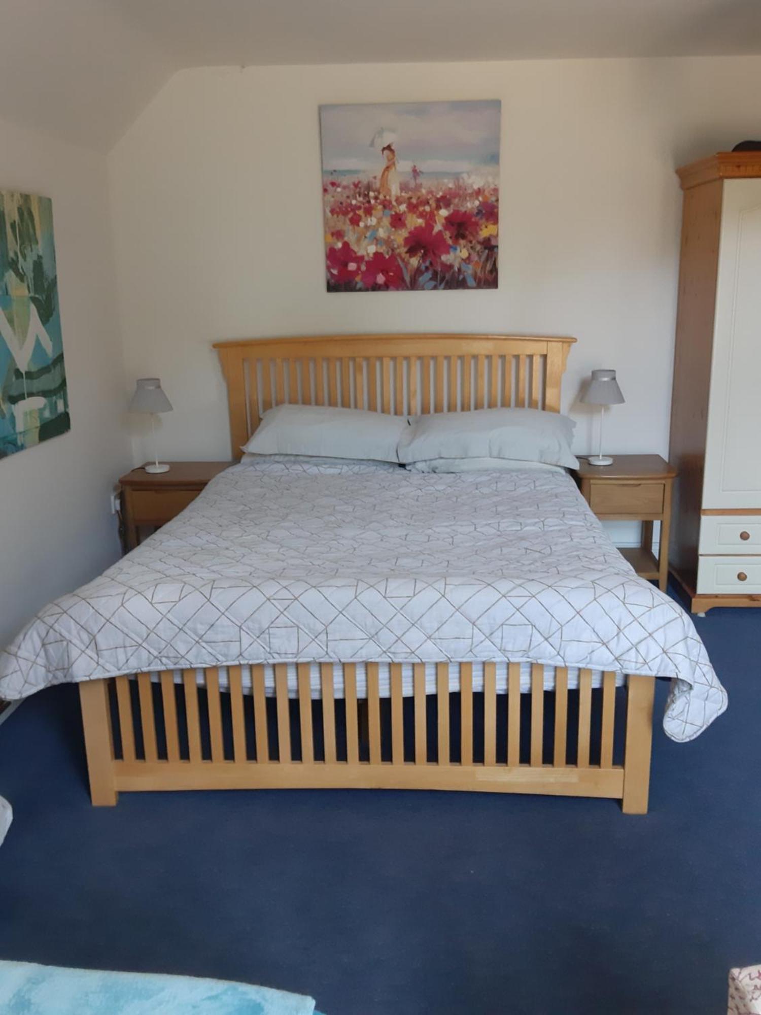 Kyleard Ryan Bed and Breakfast Monasterevin Εξωτερικό φωτογραφία