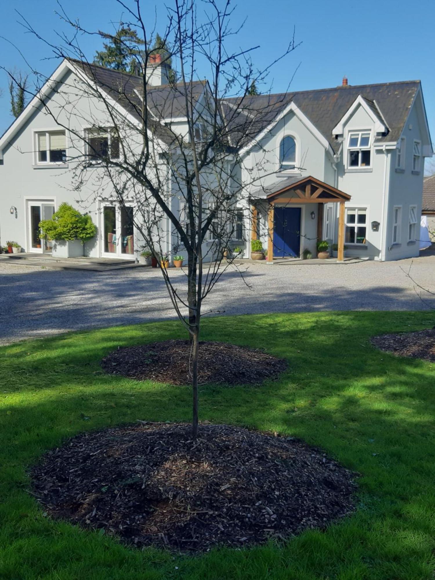 Kyleard Ryan Bed and Breakfast Monasterevin Εξωτερικό φωτογραφία